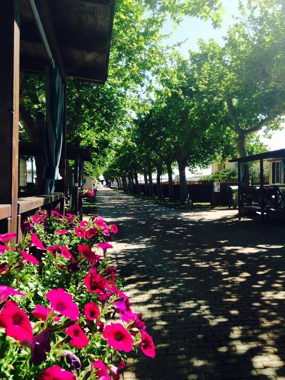 Camping Vallecrosia Bagian luar foto